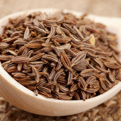 Order Caraway herb seeds for sale online in the USA. Aromatic Biennial herb, rye bread, sauerkraut. Open-pollinated, USA-quality, NON-GMO organic seeds & more!