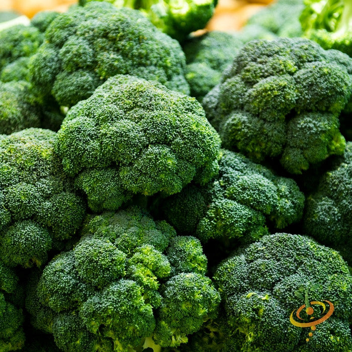 Broccoli - Calabrese.