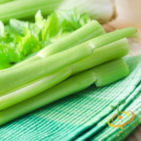 Celery - Golden - SeedsNow.com