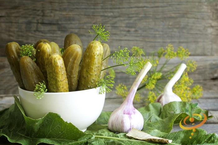 Cucumber - Homemade Pickles.